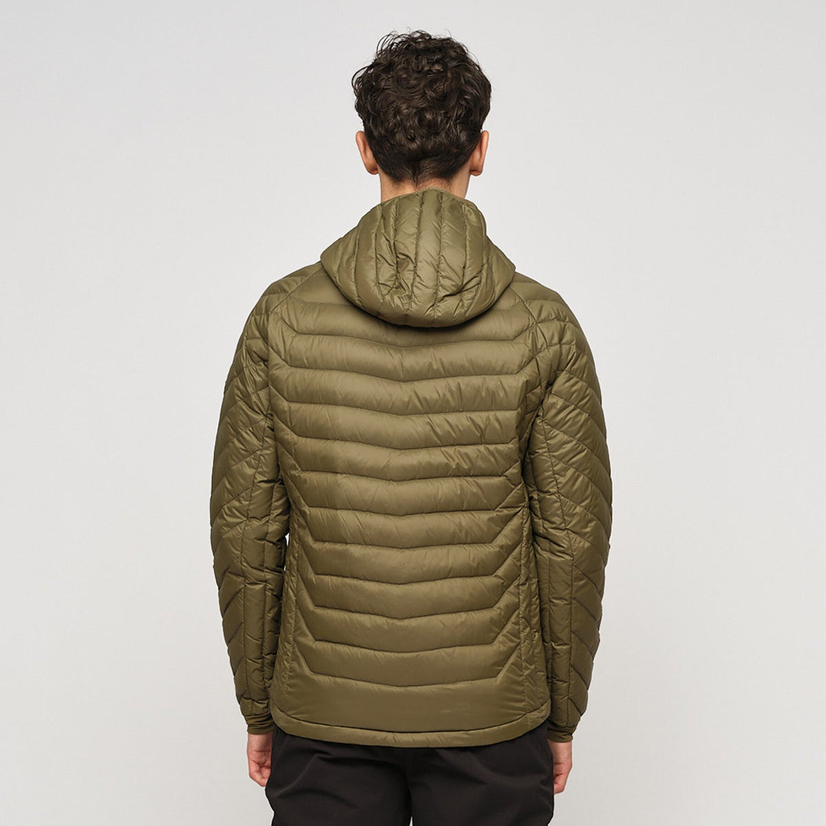 Salen – Ivy Green