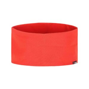 Lauvhøi, pannebånd